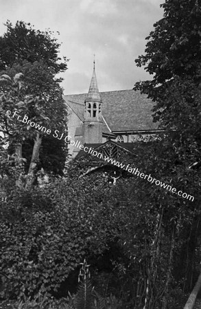 CHURCH TROUGH TREES